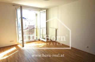 Wohnung mieten in Dietrichsteinplatz, 8010 Graz, Jakomini / Innere Stadt (Dietrichsteinplatz): 3-ZI (2-er WG tauglich) + Wohnküche