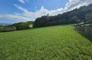 Grundstück zu kaufen in 4040 Linz, Großzügiges Grundstücksareal für Investoren, Bauträger, privaten Wohnbau