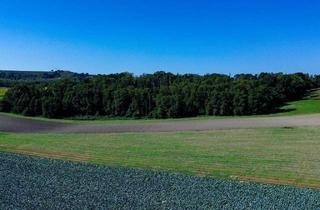 Gewerbeimmobilie kaufen in 4612 Herrnholz, Waldgrundstück mit 10 ha Fläche in Scharten zu verkaufen!