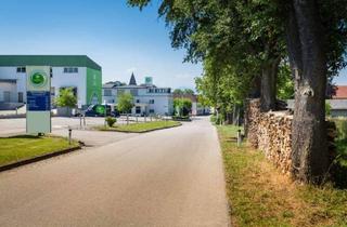 Büro zu mieten in 3300 Amstetten, NUR € 3,30/m² 429m² Großzügige Büroflächen mit Parkplätzen