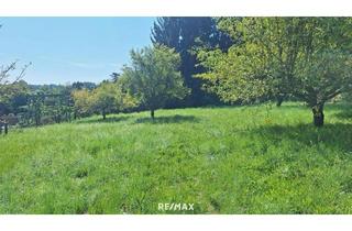 Grundstück zu kaufen in 8410 Allerheiligen bei Wildon, "Investieren Sie in Lebensqualität – 1.500 m² im Rasental!"