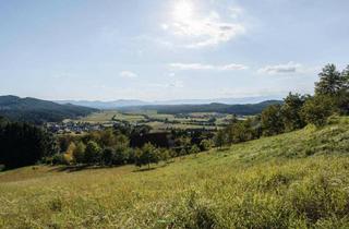 Grundstück zu kaufen in 8452 Mattelsberg, 8452 Mattelsberg: Baugrundstück mit fertiger Genehmigung für exklusives Einfamilienhaus mit Pool