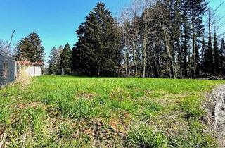 Grundstück zu kaufen in Bahngasse, 6890 Lustenau, Grundstück in Lustenau für Einfamilien- oder Doppelhaus!