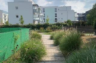 Wohnung mieten in Maximilianstraße, 3100 Sankt Pölten, NEUWERTIGE 2 ZIMMER WOHNUNG | MIT SÜDLOGGIA | IHR NEUES ZUHAUSE WARTET | AB 1.11.2025