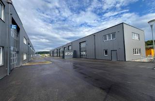 Büro zu mieten in 4844 Oberregau, RESERVIERT! Betriebs-/ Produktions- oder Lagerhallen von 44 - 224 m² Fläche, 1A Standort ab Herbst 2025 im BUSINESS PARK REGAU (Top 08a)
