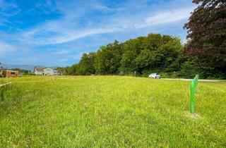 Grundstück zu kaufen in 8181 Sankt Ruprecht an der Raab, Ruhige Lage nahe Weiz: Wohn-Baugrund im Aufschließungsgebiet Dorfgebiet.