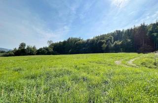 Grundstück zu kaufen in 8181 Sankt Ruprecht an der Raab, Ihr zukünftiges Zuhause: Grundstück in Ruhelage