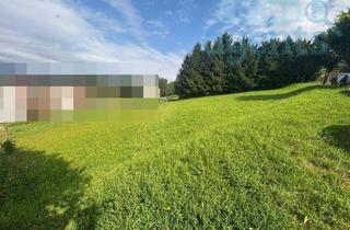 Grundstück zu kaufen in 4713 Gallspach, Großes Grundstück mit wunderschöner Aussicht in einer ruhigen Hang-Lage