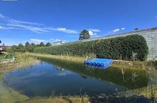 Doppelhaushälfte kaufen in 2213 Bockfließ, Doppelhaushälfte mit Badeteich, Sonne und Ruhe!!
