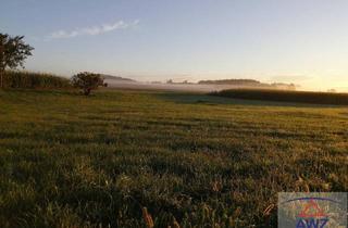 Gewerbeimmobilie kaufen in 5204 Straßwalchen, Gewerbegrund/Betriebsbaugrund in Straßwalchen!