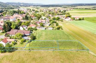 Grundstück zu kaufen in 8280 Altenmarkt bei Fürstenfeld, Altenmarkt bei Fürstenfeld: Zwei Sonnige Baugrundstücke in schöner Siedlungsrandlage