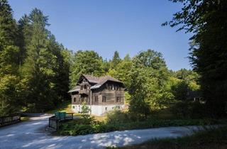 Haus kaufen in 8573 Kainach bei Voitsberg, Ehemaliges Forsthaus mit Wirtschaftsgebäuden, allein und idyllisch im Wald gelegen.