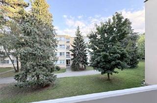 Wohnung kaufen in 3400 Klosterneuburg, Ruhelage in Klosterneuburg: Renovierungsbedürftige 1-Zimmer-Wohnung mit Balkon!