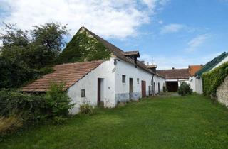 Haus kaufen in 7091 Breitenbrunn am Neusiedler See, ALTER STRECKHOF IN ZENTRALER LAGE