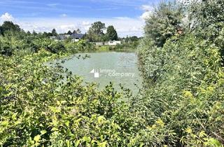 Grundstück zu kaufen in 2472 Prellenkirchen, Traumhaftes Grünland Grundstück mit Fischteich in Prellenkirchen 18064m2 – Ihr Platz für Visionen!