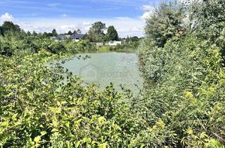 Grundstück zu kaufen in 2472 Prellenkirchen, Traumhaftes Grünland Grundstück mit Fischteich in Prellenkirchen 18064m2 – Ihr Platz für Visionen!