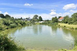 Grundstück zu kaufen in 2472 Prellenkirchen, Traumhaftes Grünland Grundstück mit Fischteich in Prellenkirchen 18064m2 – Ihr Platz für Visionen!