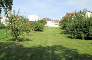 Haus kaufen in S 31, Oberpullendorf, Draßmarkt, Landsee, 7342 Kaisersdorf, Für Gartenliebhaber - kleines, erweiterbares Haus mit wunderbarem, top-gepflegtem Garten in zentraler Ortslage!