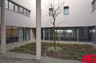 Büro zu mieten in Gartenstraße 30B, 4201 Gramastetten, IHR NEUER SEMINARRAUM ERWARTET SIE IN GRAMASTETTEN - JETZT ANMIETEN