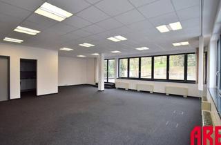 Büro zu mieten in Sandgasse 14A, 4020 Linz, READY TO USE OFFICE - OPTIMALER STANDORT - SOFORT STARTKLAR - B04