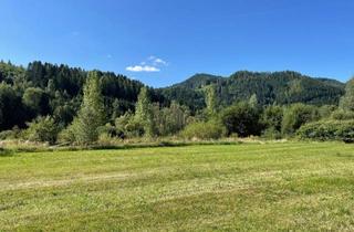 Grundstück zu kaufen in 8653 Stanz im Mürztal, Traumhaftes Grundstück in Stanz im Mürztal - 7840 m² Bauland
