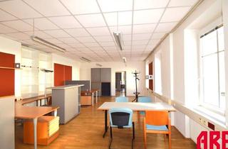Büro zu mieten in Rudolfstraße 55/06, 4040 Linz, PRODUKTIVES ABREITSKLIMA - JETZT FÜR SIE BEREIT - TOP 06