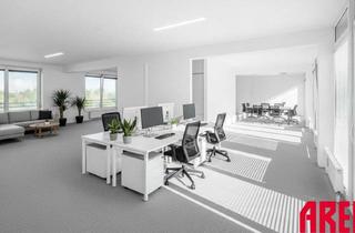 Büro zu mieten in Panholzerweg 1/Bt 02, 4030 Linz, BÜROFLÄCHEN IN LINZ EBELSBERG - GESTALTUNG NACH IHREN VORSTELLUNGEN MÖGLICH - ATTRAKTIVE STAFFELMIETE !!!!