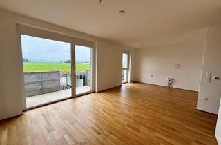 Wohnung mieten in Ahornstraße 1/14, 3311 Zeillern, Moderne 4-Zimmerwohnung mit Balkon in Zeillern