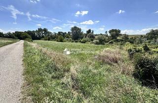 Grundstück zu kaufen in 2472 Prellenkirchen, Traumhaftes Grünland Grundstück mit Fischteich in Prellenkirchen 18064m2 – Ihr Platz für Visionen!