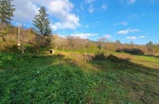 Grundstück zu kaufen in 2115 Kleinsitzendorf, Kleinsitzendorf: Baugrund voller Möglichkeiten – Traumplatz, Traumidee, Traum wird wahr!