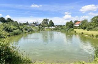 Grundstück zu kaufen in 2472 Prellenkirchen, Traumhaftes Grünland Grundstück mit Fischteich in Prellenkirchen 18064m2 – Ihr Platz für Visionen!