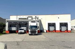 Büro zu mieten in 1230 Wien, Cross-Dock-Lagerhalle mit Kühlzone, Freiflächen und Büroanteil zu mieten!