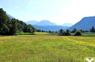 Grundstück zu kaufen in 9132 Möchling, Wohnen im Grünen! Großzügiges Grundstück mit Bachlauf Nahe Klopeiner See - Turnersee