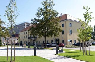 Wohnung mieten in Hauptplatz 2/1+2, 2432 Schwadorf, Koffer packen und einziehen