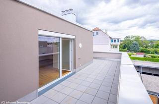 Wohnung mieten in 3701 Großweikersdorf, Moderne 2 Zimmerwohnung mit großer Terrasse - Wohnzuschuss möglich