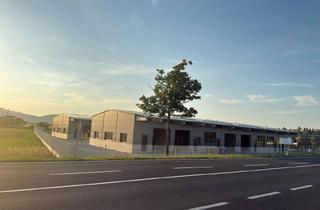 Lager mieten in Gewerbepark B17 / Ii / Straße 3 / Objekt 11, 2524 Teesdorf, Neue Gewerbehalle, Lager, Werkstatt, Büro - 154-245 m² - Erstbezug - B17/A2 - Teesdorf, NÖ nahe Wien