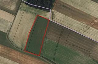 Immobilie kaufen in 3281 Schachau, Acker/Wiese