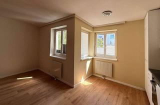 Wohnung mieten in Rodlergasse, 1190 Wien, Klein, fein und ganz mein - die perfekte Garconniere in Döbling!