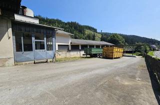 Lager kaufen in 8794 Hafning, Trofaiach! - Industriehalle / Lagerhalle an der Bundesstraße Richtung Vordernberg!