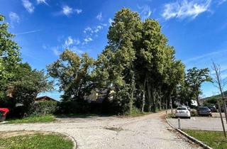 Wohnung kaufen in Haid Center, 4053 Nettingsdorf, Provisionsfrei: Traumhafte 3-Zimmer-Wohnung mit Garten in Ansfelden/Nettingsdorf!