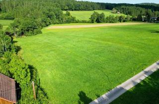 Grundstück zu kaufen in Untere Mölten, 8045 Weinitzen, SENSATIONELL! HIER KÖNNTE IHR TRAUM-HAUS STEHEN! Leben im idyllischen Umland nur 5 Minuten von Graz entfernt! Geheimtipp für das perfekte Eigenheim!