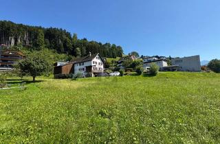 Grundstück zu kaufen in 6835 Dafins, Preisreduktion! SONNIG, RUHIG UND BESTENS ANGEBUNDEN