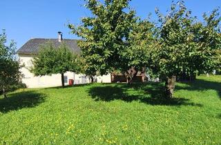 Haus kaufen in 4223 Katsdorf, Charmantes Haus mit großem Grundstück im Herzen von Katsdorf - sonniger Garten & viel Potenzial!