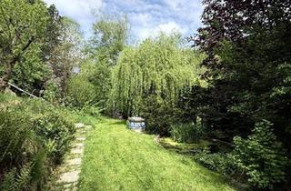 Einfamilienhaus kaufen in 3762 Ludweis, Einzigartige Grünruhelage an der Thaya! Reizendes Blockhaus mit Pferdestall