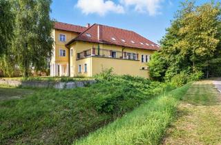 Haus kaufen in 2033 Kammersdorf, Landidylle, Historie und jede Menge Potenzial: EHEMALIGE MÜHLE – HEUTE EIN REFUGIUM DER BESONDEREN KLASSE!
