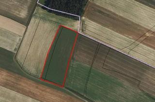 Gewerbeimmobilie kaufen in 3281 Oberndorf an der Melk, Acker/Wiese