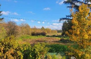 Grundstück zu kaufen in 2116 Klement, Baugrund in Kleinsitzendorf sucht Visionär - Traumgegend, Traumplatz, Traum wird wahr!