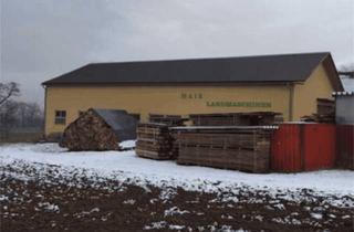 Lager mieten in 4552 Wartberg an der Krems, Produktionshalle oder Lagerhalle ~ 500m2 direkt an der B138 zu vermieten