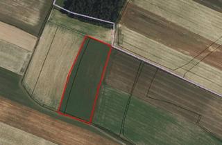 Agrarfläche kaufen in 3281 Oberndorf an der Melk, Acker/Wiese