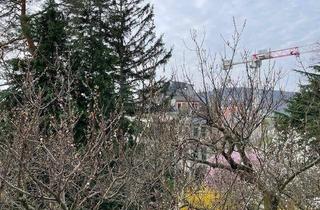 Wohnung kaufen in Lorenz-Weiß-Gasse, 1140 Wien, 2-Zimmer Altbauwohnung mit Balkon und Gartennutzung